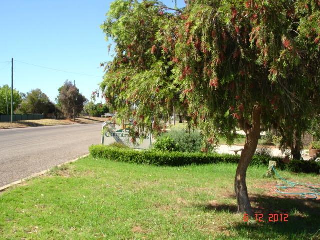 Tooleybuc Country Roads Motor Inn מראה חיצוני תמונה